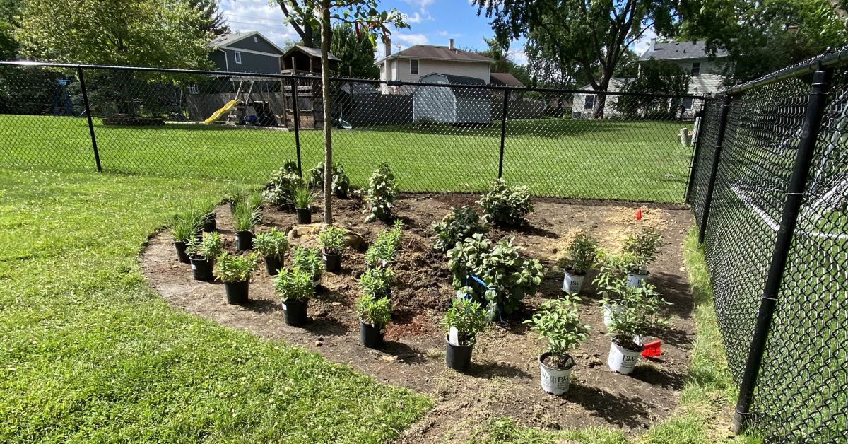 Rebuilt stone retaining wall and landscape installation in Lincolnwood, IL featuring drainage improvements, hydrangeas, boxwoods, ornamental grasses, and perennial plantings.