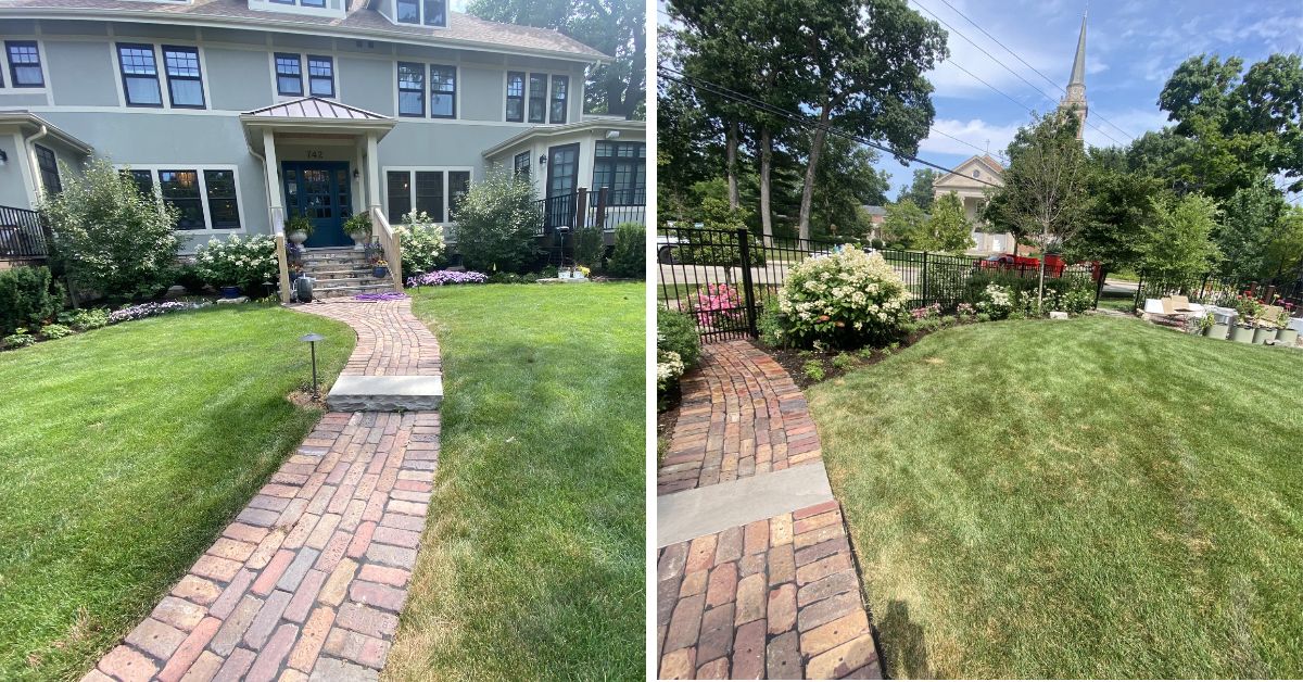 Landscape renovation in Deer Park, IL with Hydrangeas, Roses, Catmint, Coneflowers, tree care, and planting bed improvements.