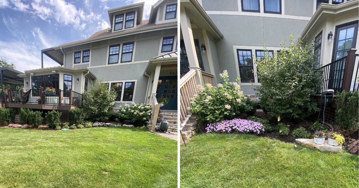 Landscape renovation in Deer Park, IL with Hydrangeas, Roses, Catmint, Coneflowers, tree care, and planting bed improvements.