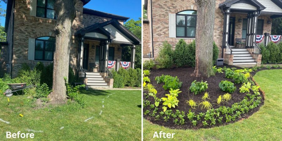 Front and backyard landscape renovation in Winnetka, IL featuring new perennial plantings, flowering shrubs, compost-amended beds, and enhanced curb appeal.