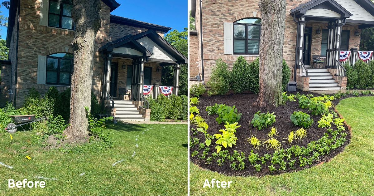 Front and backyard landscape renovation in Winnetka, IL featuring new perennial plantings, flowering shrubs, compost-amended beds, and enhanced curb appeal.
