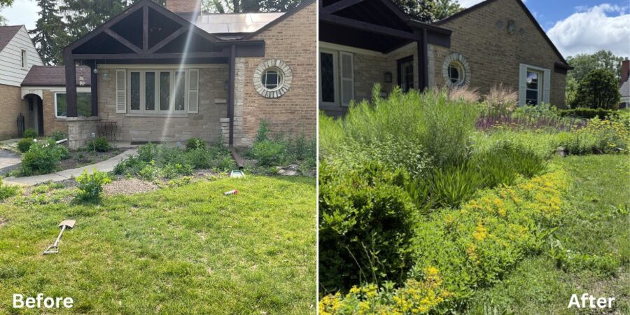 Pollinator garden installation in Northfield, IL featuring flowering perennials, ornamental grasses, and butterfly-friendly plantings designed for seasonal color and long-term growth.