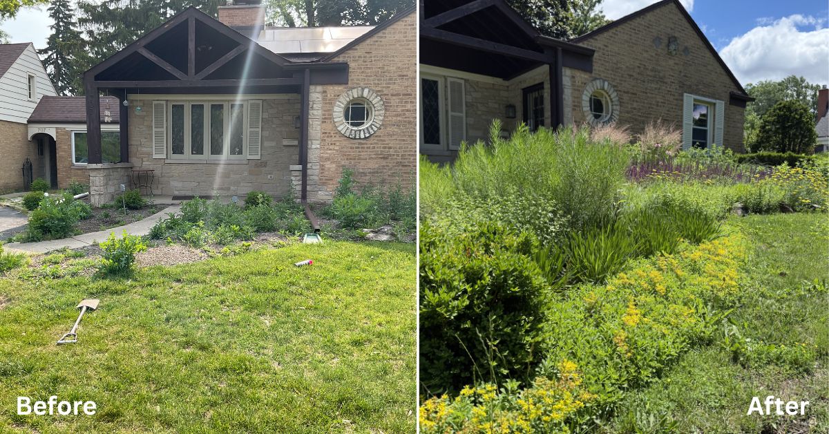 Pollinator garden installation in Northfield, IL featuring flowering perennials, ornamental grasses, and butterfly-friendly plantings designed for seasonal color and long-term growth.