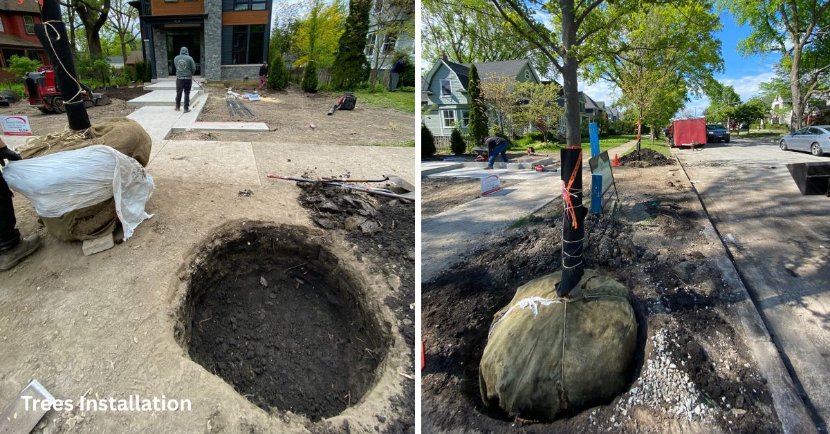 Park Ridge, IL landscape project featuring new plantings, concrete patios and walkways, porcelain tile, stonework, drainage, landscape lighting, and custom ornamental steel fencing.