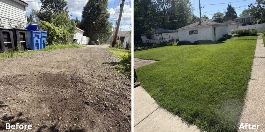 Backyard drainage and grading project in Evanston, IL featuring catch basin installation, solid PVC piping, swale construction, paver restoration, and new Kentucky Bluegrass sod for improved water management.