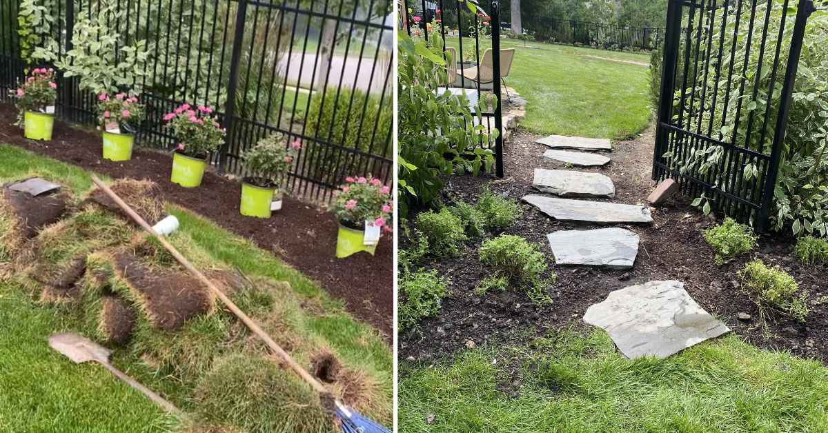Landscape renovation in Deer Park, IL with Hydrangeas, Roses, Catmint, Coneflowers, tree care, and planting bed improvements.