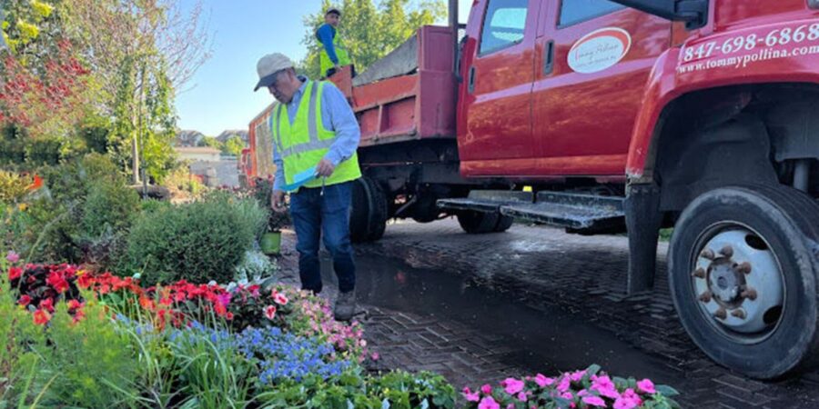 Professional planting installation with colorful annuals and perennials creating thriving, eye-catching landscapes for homeowners.