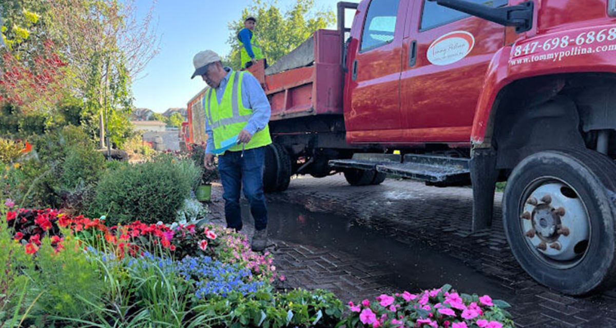 Professional planting installation with colorful annuals and perennials creating thriving, eye-catching landscapes for homeowners.