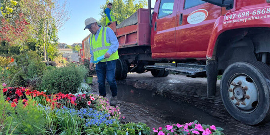 Planting Flowers Lanscaping Project in Kenilworth