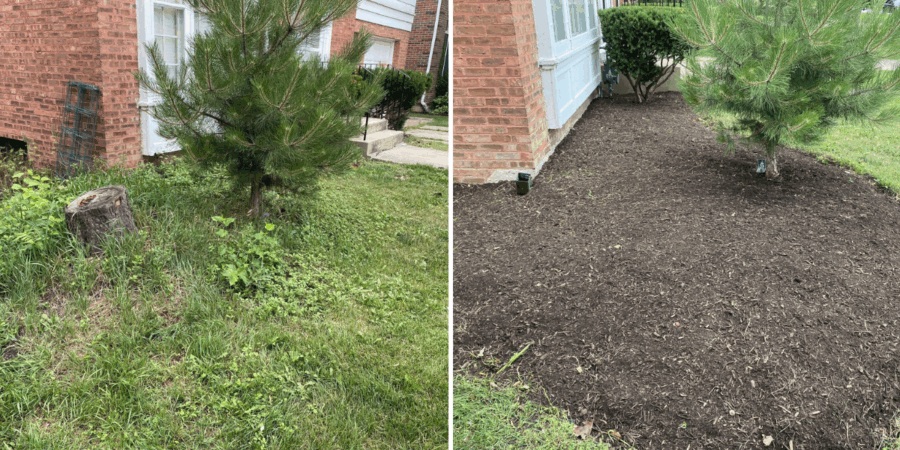 Park Ridge Property Landscaping for Home Sale — Full Yard Cleanup