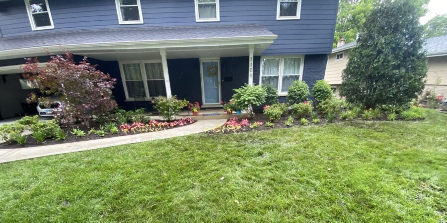 Landscape renovation in Northfield, IL with Japanese maple, hydrangeas, sod installation, PVC drainage, and new planting beds.