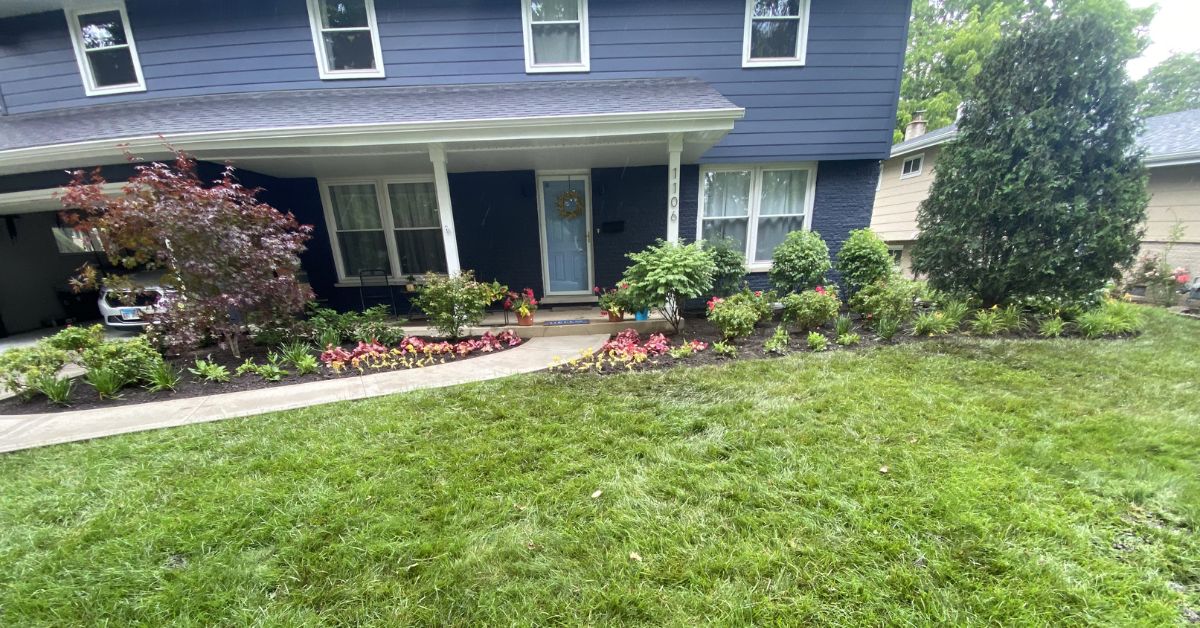 Landscape renovation in Northfield, IL with Japanese maple, hydrangeas, sod installation, PVC drainage, and new planting beds.