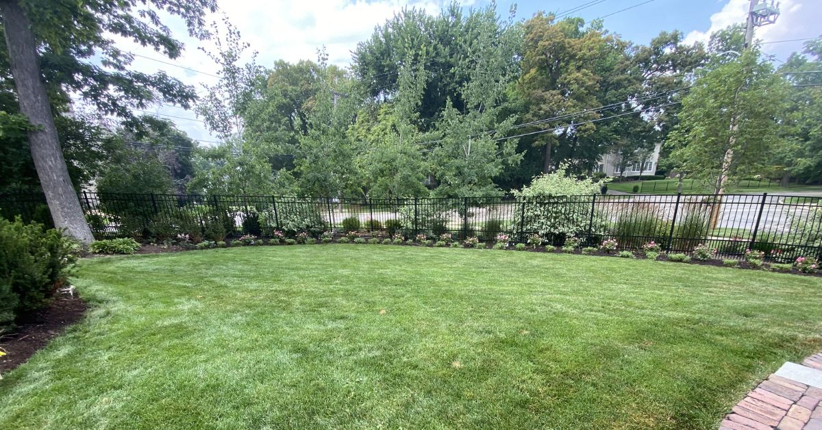 Landscape renovation in Deer Park, IL with Hydrangeas, Roses, Catmint, Coneflowers, tree care, and planting bed improvements.