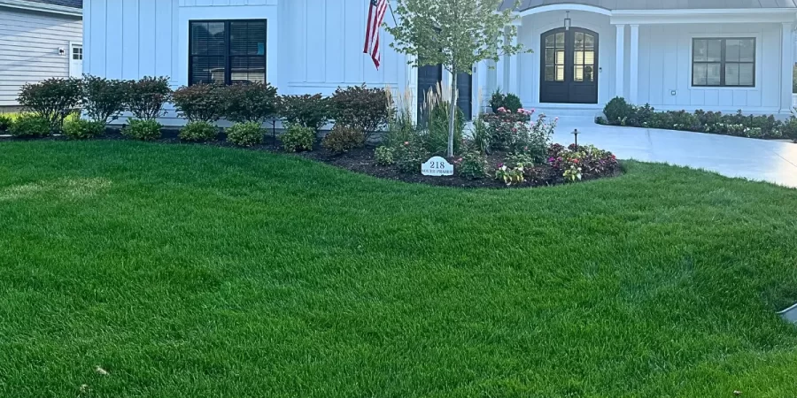 Freshly mowed residential lawn with trimmed edges after spring lawn maintenance service in Wilmette, Illinois