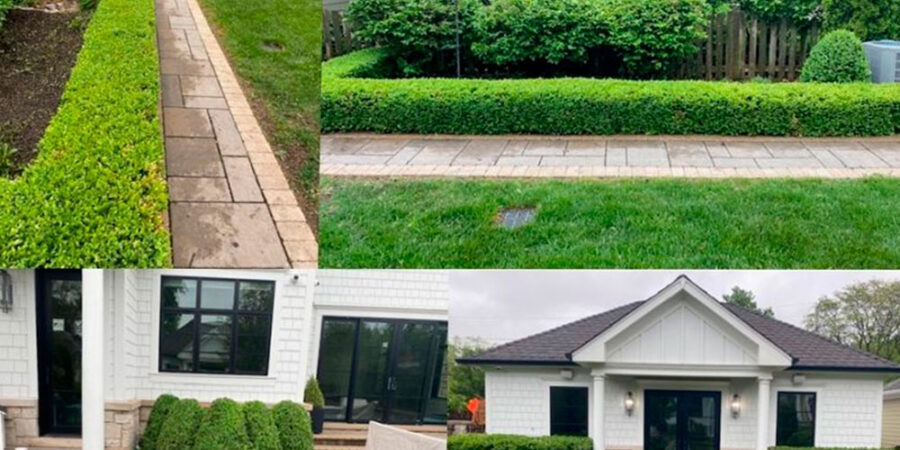 Trimming and Pruning Service - Project in Wilmette