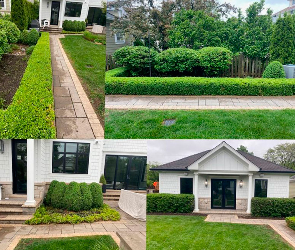 Trimming and Pruning Service - Project in Wilmette