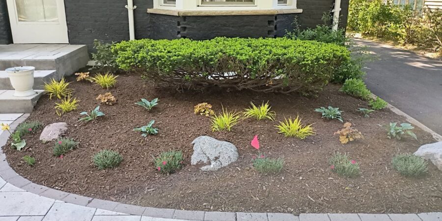 Total Outdoor Transformation in the Village of Barrington 