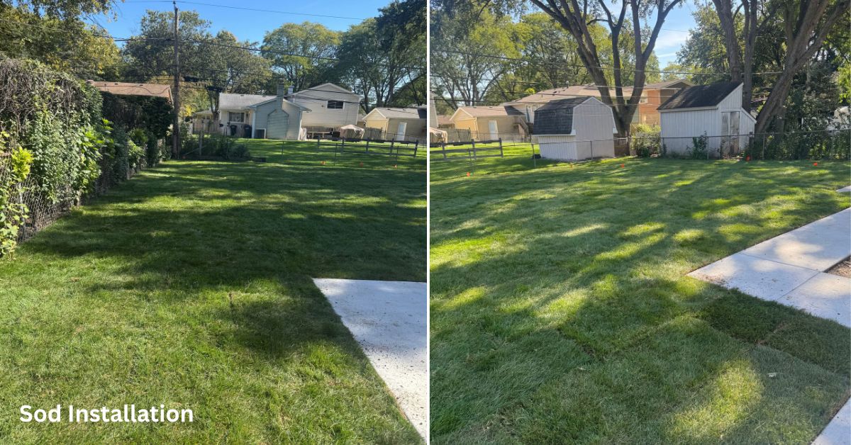 Installation of new sod throughout the backyard after pool removal, concrete work, and site preparation. The area will be graded and prepared to establish a clean, even lawn surface, restoring the yard for future use.