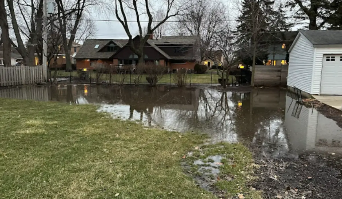 Backyard flooding covering residential lawn after early spring rainstorm.