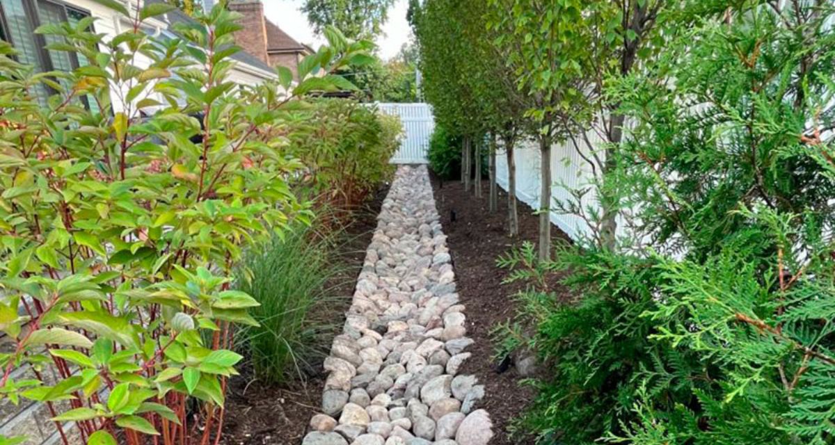 Glencoe backyard featuring river rock swale and underground flow wells redirecting water and preventing yard flooding.