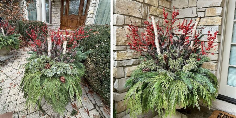 glenview-custom-holiday-pot-design-with-evergreens-and-berrie1