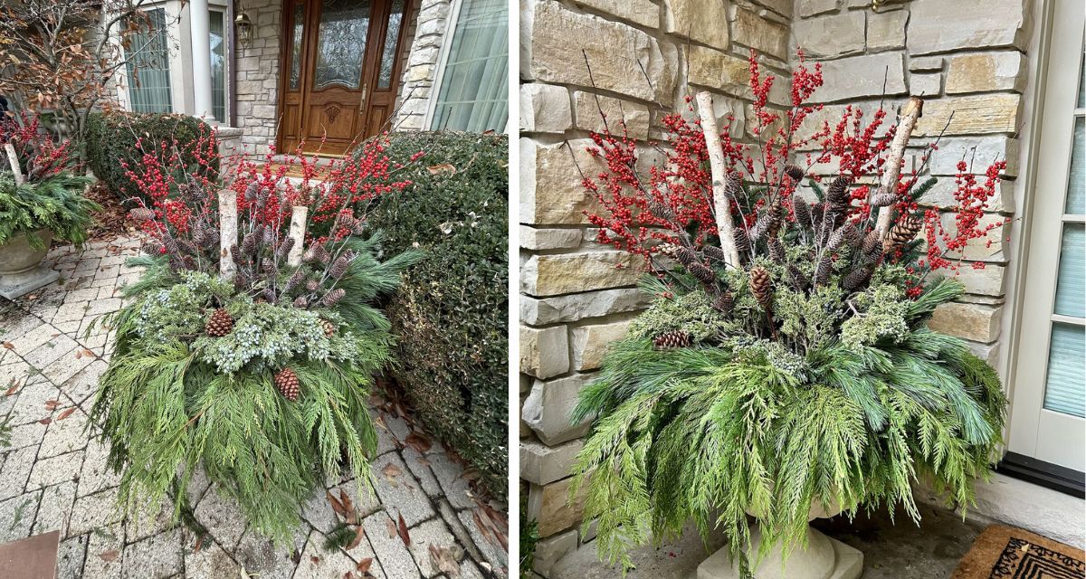 Holiday winter container pots in Glenview with evergreen branches, winterberry, birch, dogwood, pine cones, red bows