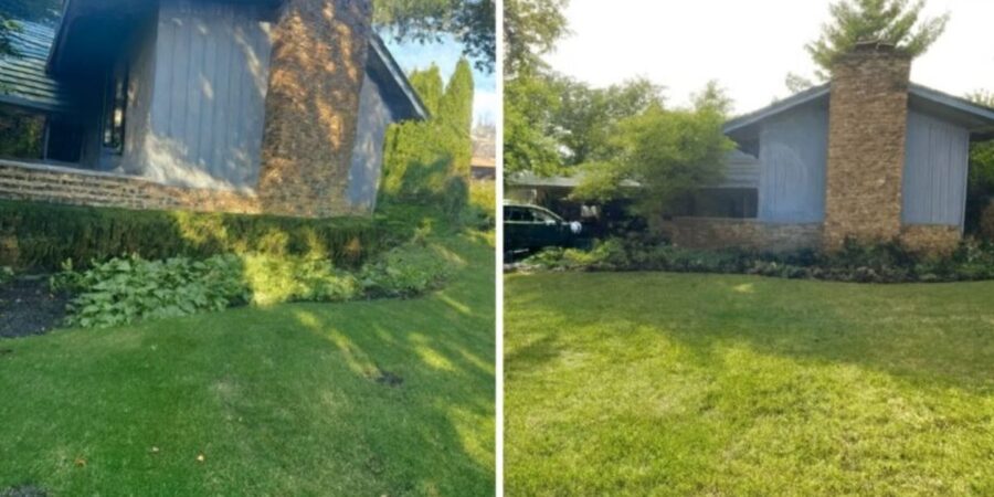 Glenview landscape project with Japanese Maple, boxwoods, hydrangeas and perennials installed from a hand-drawn design plan