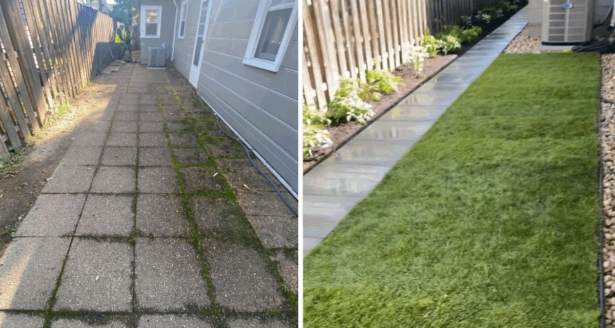Glenview backyard with drainage, grading, paver walkway, fresh sod, and lush plantings