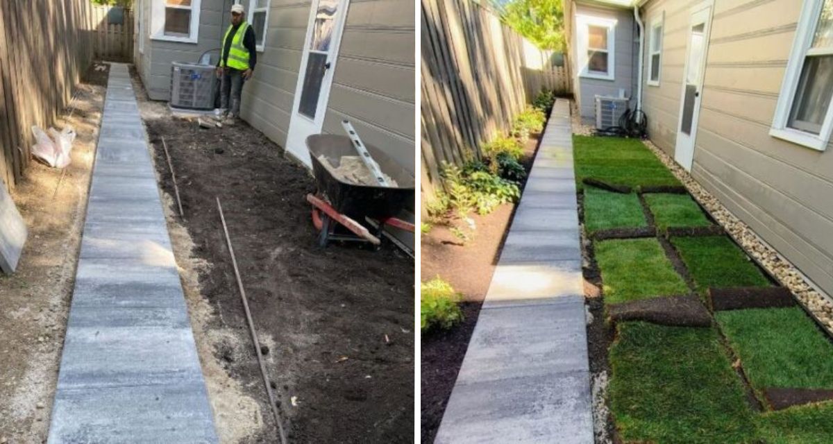 Glenview backyard with drainage, grading, paver walkway, fresh sod, and lush plantings