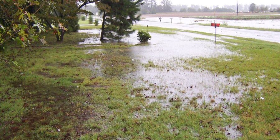 Front yard flooded with rain