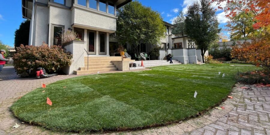Kentucky Bluegrass sod over graded Kenilworth backyard with French drain system, perforated PVC, river rock installed.