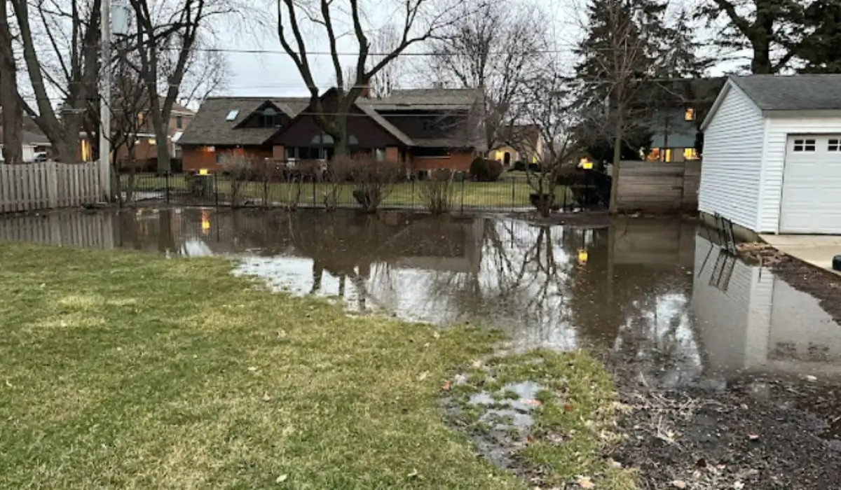 Standing water in Winnetka backyard shows landscape drainage failure needing urgent landscape drainage system repair.