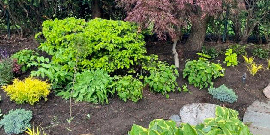 Landscape Installation Project in Kenilworth