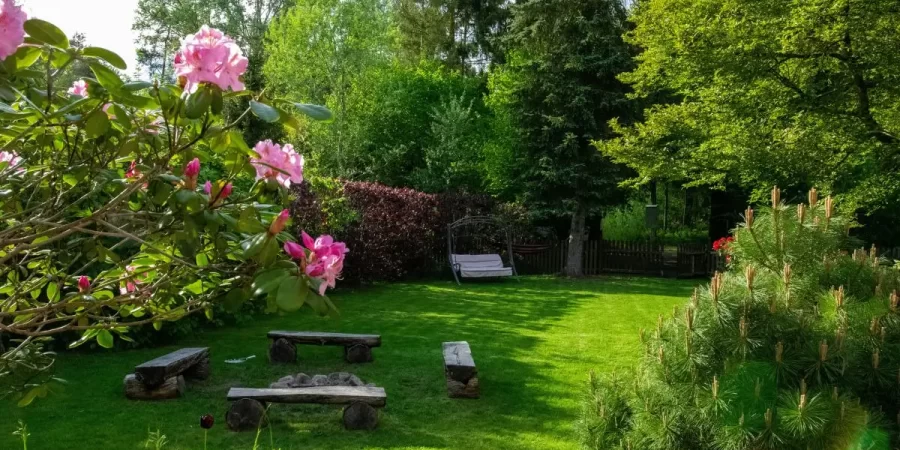 Lush backyard landscape design featuring privacy trees, colorful plants, and a peaceful outdoor retreat.