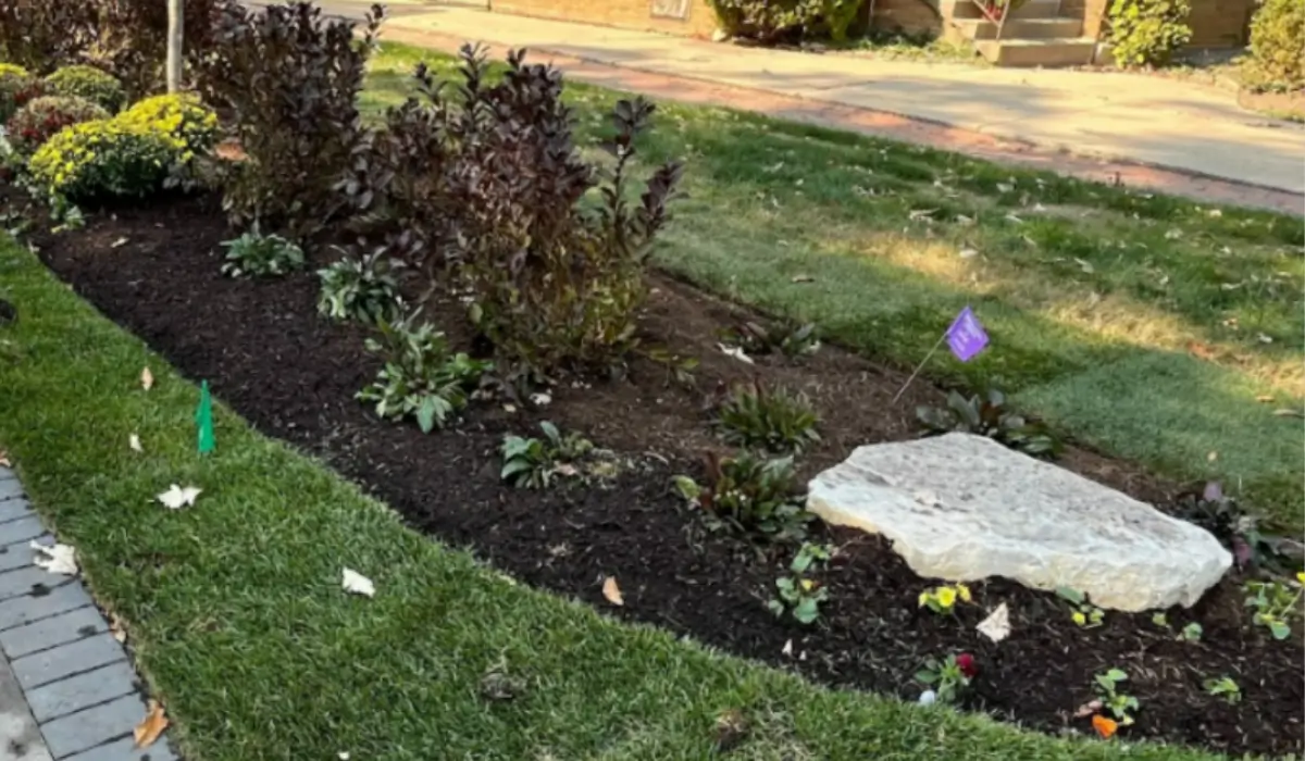 Mulching in April applied to garden bed improves soil moisture retention and prevents early weed growth.