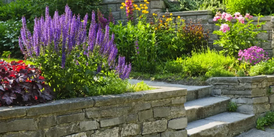 A landscaped backyard showing how to combine hardscape and plantings with stone walls and vibrant flowers for balanced outdoor design.