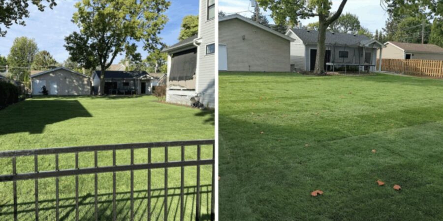 Park Ridge double-lot landscape installation project