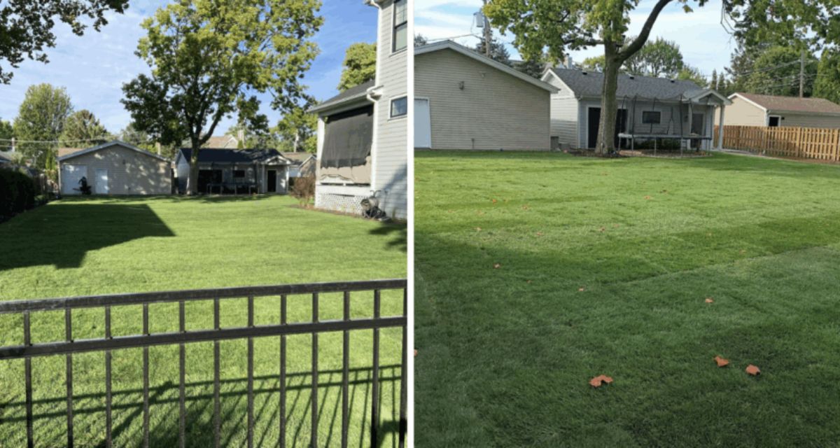 Park Ridge double-lot landscape project with new sod, trees, screening, perennials, Unilock paths and custom drainage system