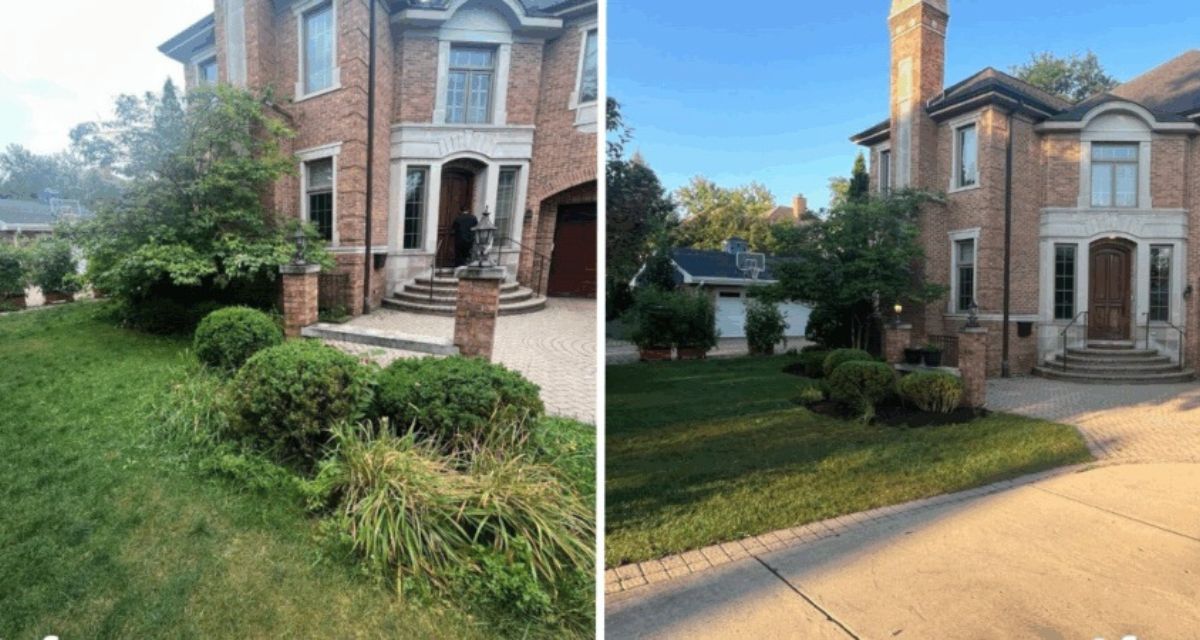 Park Ridge front yard with hedge shaping, bed refresh, and mulch installation