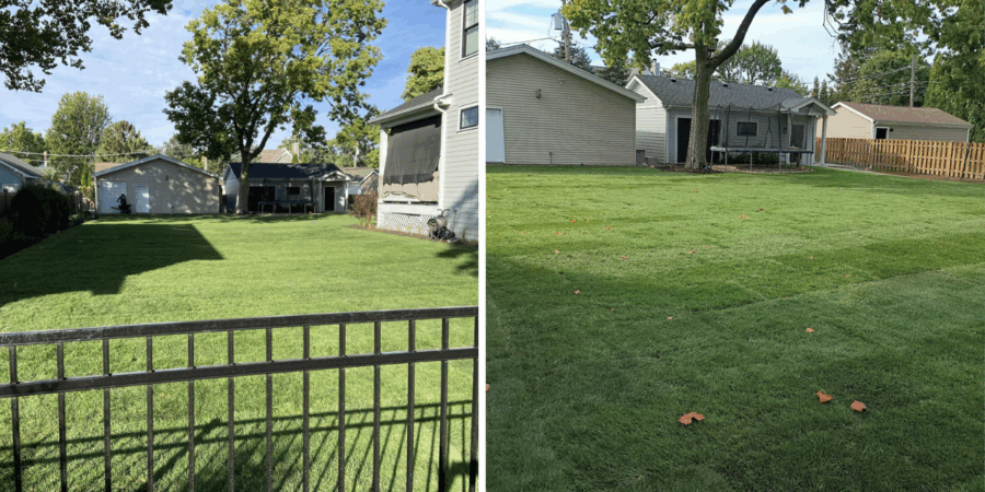Freshly installed Kentucky Bluegrass sod covering a newly graded Park Ridge yard, showing smooth topsoil finish, vibrant green lawn, and clean landscaping with Karl Foerster grasses and Dianthus near the home foundation.