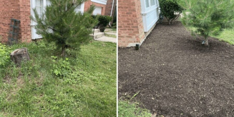 Park Ridge landscape cleanup with new beds mulch, and hedge trimming to boost curb appeal for home real estate photos