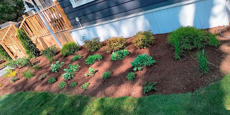 Planting-Bed Landscape Installation Project in Winnetka