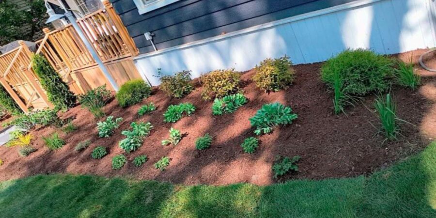 Custom Winnetka foundation planting bed with curved edges, fresh mulch, green perennials, ornamental grasses, and shrubs.