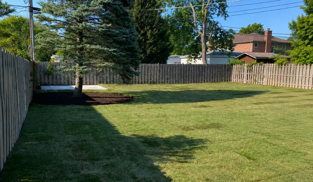 Reseed Your Lawn Before Summer Ends on thinning residential grass before cooler weather supports healthy root establishment