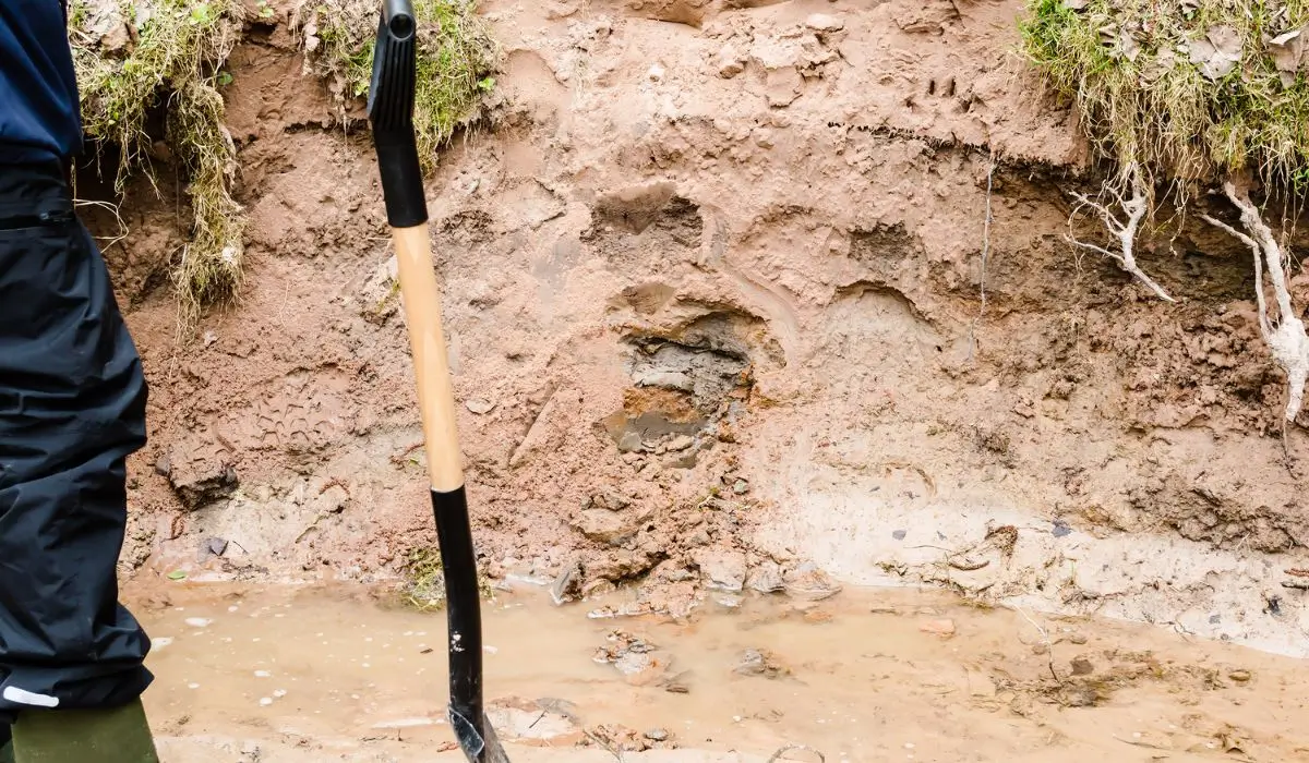 Severe soil erosion and water pooling from yard drainage failure.