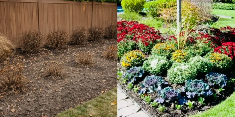 Spring planting mistakes causing dead plants compared to healthy landscape with proper soil preparation and spacing techniques.