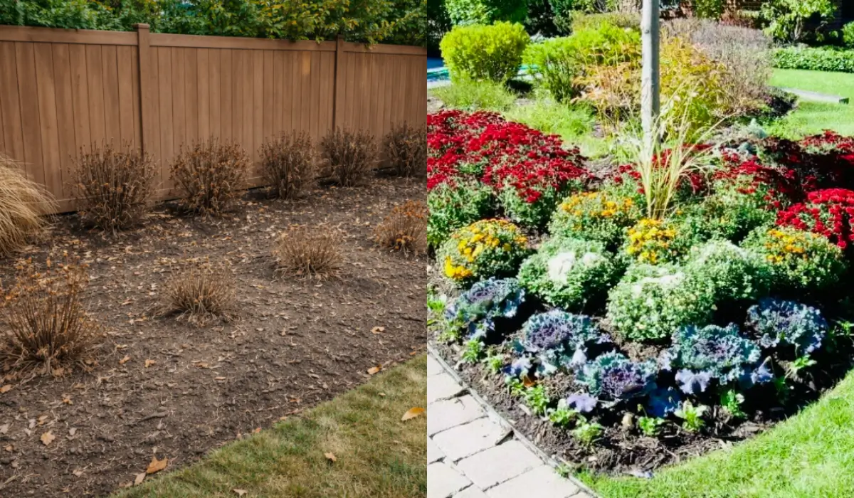 Spring planting mistakes causing dead plants compared to healthy landscape with proper soil preparation and spacing techniques.