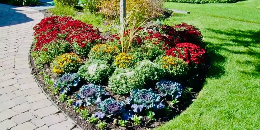 Heart-shaped flower bed planted during Valentine’s Day Garden Prep for vibrant spring blooms by May.