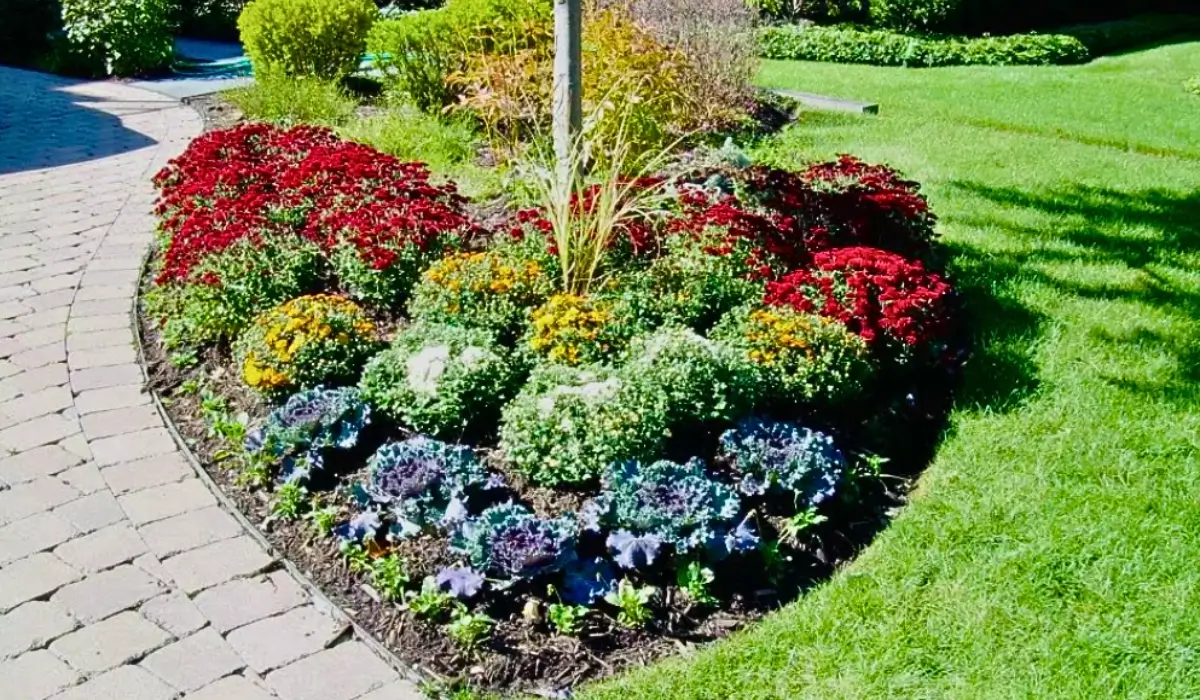 Heart-shaped flower bed planted during Valentine’s Day Garden Prep for vibrant spring blooms by May.