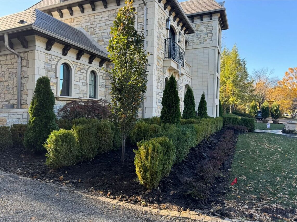 Elegant landscape design featuring the Best Arborvitae Varieties planted for privacy screening around a luxury Winnetka home.